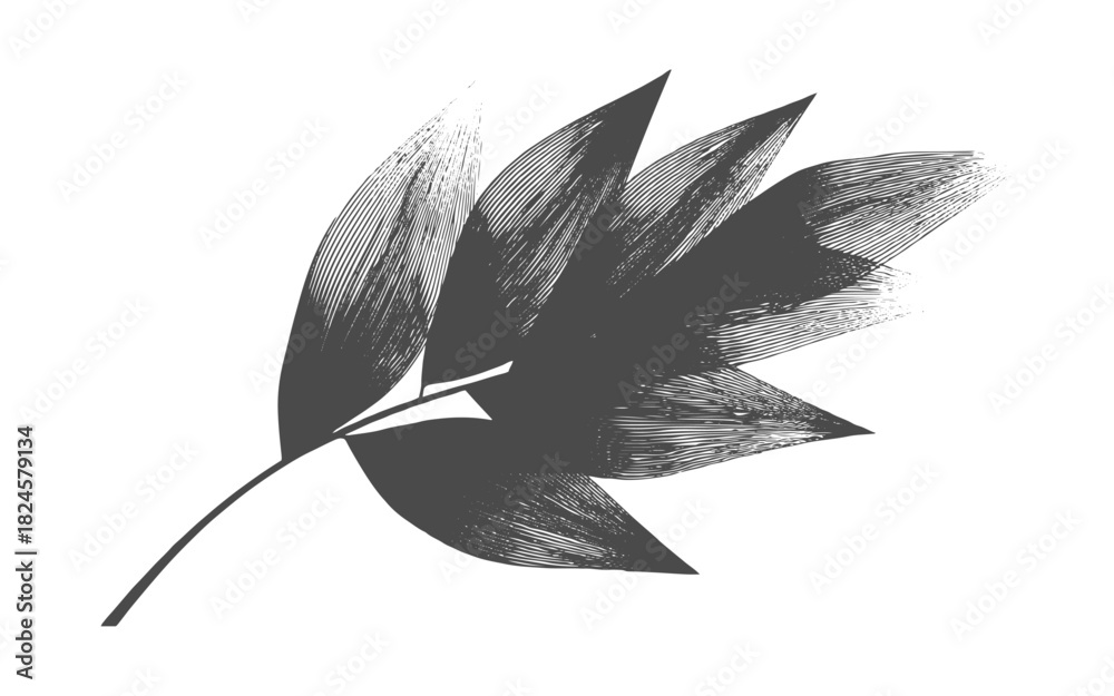 Fototapeta premium Isolated leaf drawing with rustic grunge texture and natural organic sketch style for botanical artwork