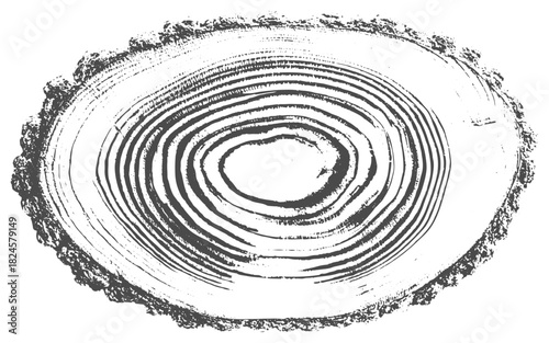 Elegant botanical frame with hand drawn floral ornament and rough textured grunge border