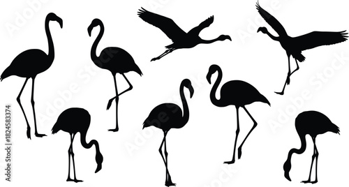Flamingo silhouettes, elegant birds, flying flamingos, standing flamingos, wildlife art, tropical birds, nature pose, exotic animals, graceful movement, black shapes
