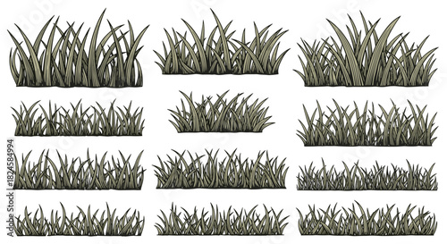 Collection of varied grass illustrations in a vintage etched style, perfect for natural designs.