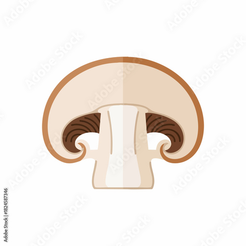 Cross-Section of a Brown Champignon Mushroom with Gills and Stem.