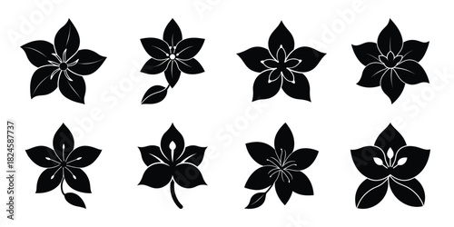 jasmine bloom flowers vector icon set. Flowers isolated on transparent background. Flowers in modern simple.