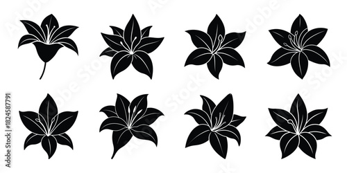 lily soft petal flowers vector icon set. Flowers isolated on transparent background. Flowers in modern simple.