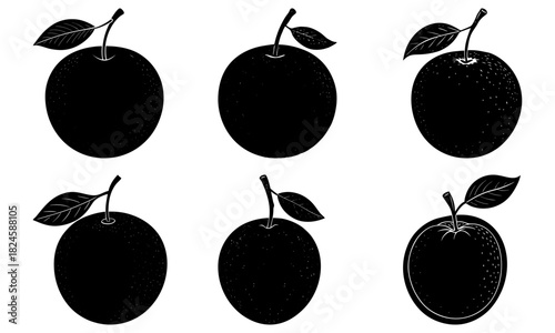 Black and white digital art of fresh oranges ideal for healthy lifestyle branding, food blog visuals, or vitamin C focused designs. Vector origin.