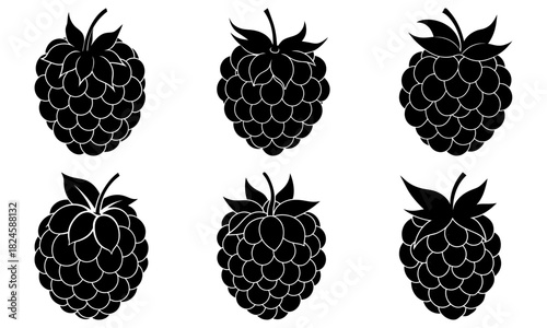 Fresh raspberry designs for summer treats and healthy snacks in black and white, perfect for food blogs, packaging, and promotional material