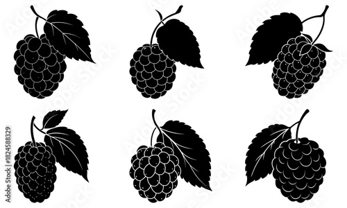 Elegant black raspberry cluster design for labels, packaging, menus, or botanical illustrations, evoking organic, healthy food and fresh ingredients