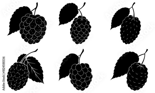 Ripe blackberry silhouettes, perfect for summer designs, food packaging, or organic farm branding. Elegant and crisp, conveying freshness and natural goodness