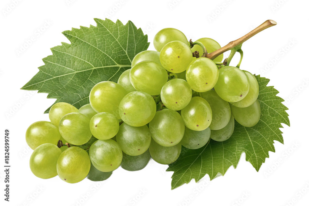 Obraz premium Fresh Bunch of Green Grapes with Leaves and a Juice Drop
