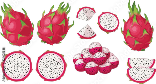 Set of Vector Illustrations of Fresh Pitaya Dragon Fruit, Shown Whole, Sliced, and in Halves, Ideal for Tropical Food Graphics, Healthy Eating, Juice Packaging, and Exotic Design