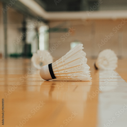 Badminton shuttlecocks rest after a vibrant game, capturing the essence of dynamic sportsmanship and spirited competition on the polished wooden court indoors