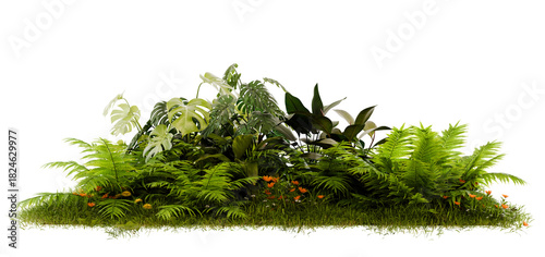 green plant group PNG transparent 3d illustration rendering