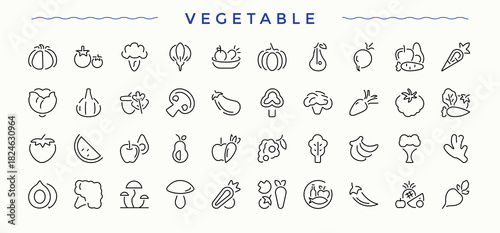 Vegetables icon set. Minimal thin line web icons set. Food icon set. Featuring organic, vegetarian, vegetable, food, leaf, nature and more.