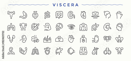 Viscera vector line icon set. Body icon set. Minimalist icons pack. Contains related to human, man and more. Editable vector stroke.