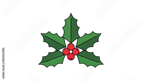 Holly Branch With Red Berries Close Up.