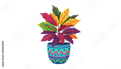 Vibrant multicolor tropical houseplant in patterned pot.