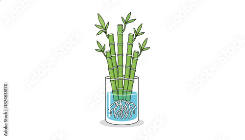 Fresh lucky bamboo stalks in clear glass vase.