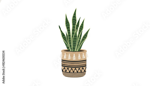 Striped snake plant in patterned ceramic pot.