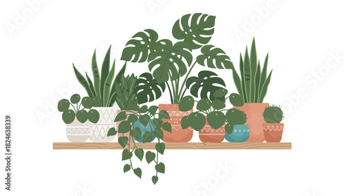 Assorted potted houseplants with tropical foliage illustration.