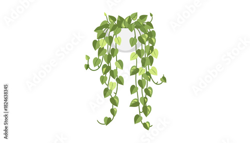 Trailing pothos houseplant with variegated green leaves hanging.