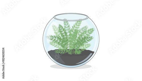 Green fern terrarium in round glass bowl.