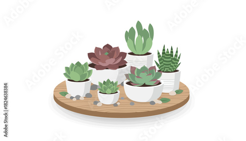 Assorted potted succulents arranged on round tray.