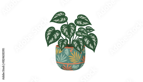 Variegated houseplant with heart shaped leaves in patterned pot.