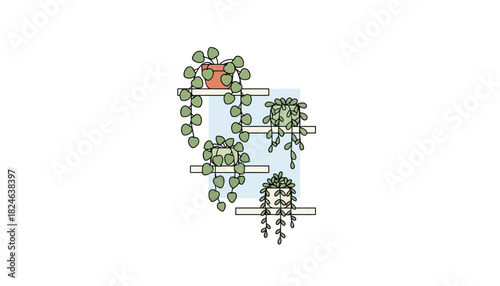 Hanging houseplants on minimal wall shelves illustration.