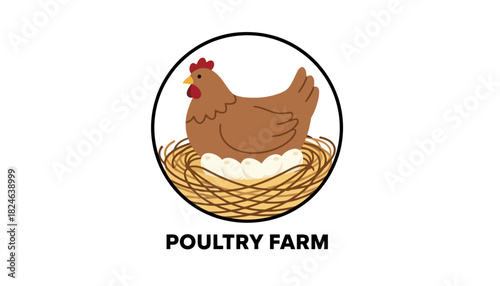 Chicken on a nest at a poultry farm.