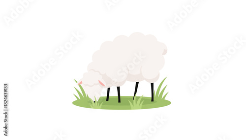 Gentle fluffy sheep standing on grass silhouette.