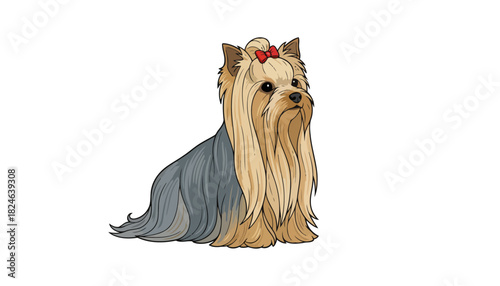 Yorkshire Terrier in Stylish Gray Coat with Red Bow.
