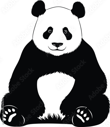 Simple black and white panda bear illustration sitting upright