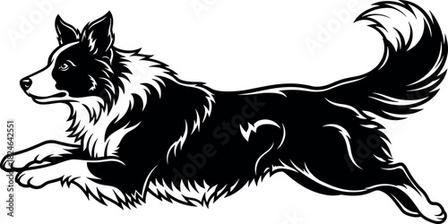 Energetic Border Collie in mid-leap showcasing agility, motion, and dynamic pose in black and white vector illustration for stock use.