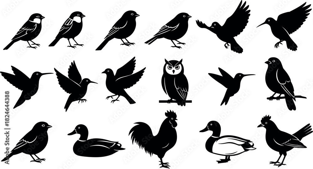 Obraz premium Silhouettes of diverse birds in flight and perched poses including owl, duck, rooster, hummingbird, songbird for nature vector design