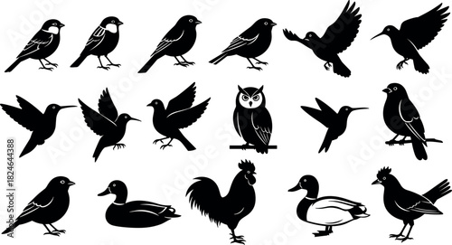 Silhouettes of diverse birds in flight and perched poses including owl, duck, rooster, hummingbird, songbird for nature vector design