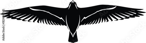 Dramatic silhouette of a bird in flight against a white background