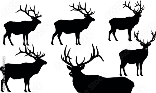 Wild elk silhouettes with antlers in various poses, standing and lying down, perfect for wildlife, nature, and animal vector themes.