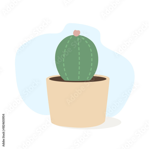 Minimal soft style focusing on cactus with tiny bloom, cactus adding gentle botanical charm for modern decor fans seeking calm visual accents