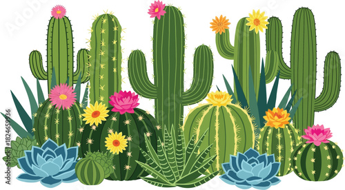 Botanical Desert Garden of Succulents and Cacti with Flowers Vector Illustration in Green Tones on Transparent Background for Design