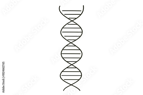 Simple black and white dna strand illustration