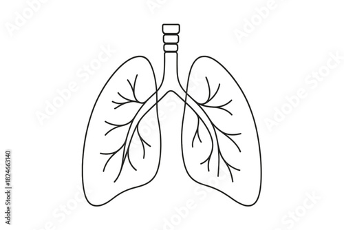 Simple black and white human lungs line drawing on white background