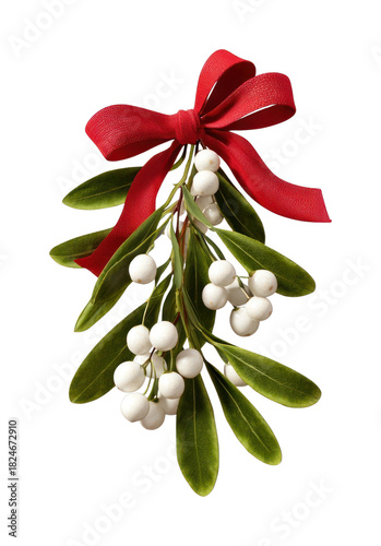 PNG Festive mistletoe with red ribbon.