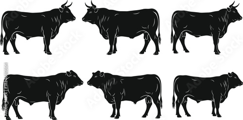 Black cattle silhouettes set, farm cow figures collection, livestock farming vector illustration, isolated on white background, agriculture design resource pack
