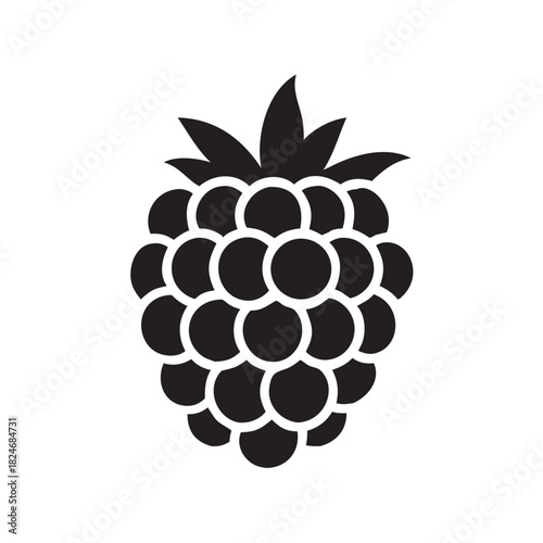 A striking black silhouette of a ripe raspberry. The detailed rendering emphasizes its natural texture and form