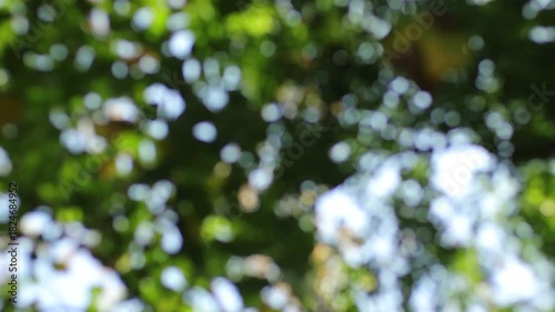 natural moving abstract background