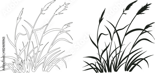 Elegant grass silhouettes in black and outline styles showcasing natural wild blades. Detailed botanical design ideal for nature art, and creative projects. Perfect for prints, logos, 