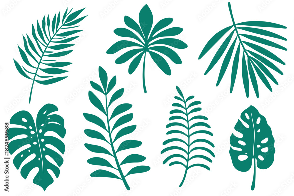 Fototapeta premium Green tropical leaf collection including fern, monstera, palm, and other leaves are on display