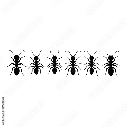 Row of black ant silhouettes on a white background