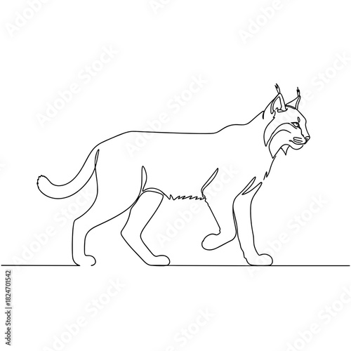 Single continuous line drawing of wild lynx cat profile in black and white representing wildlife predator mascot with copy space