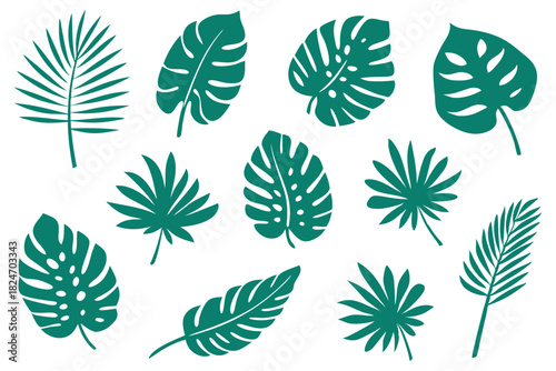 Fresh turquoise tropical leaves offer a bold, modern botanical statement against a white background