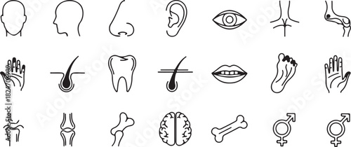 Human Anatomy Icons: A Collection of Body Parts and Biological Symbols